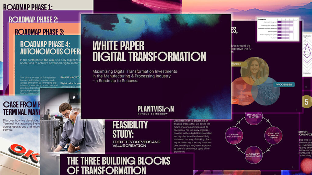 Digital Transformation White Paper - example pages